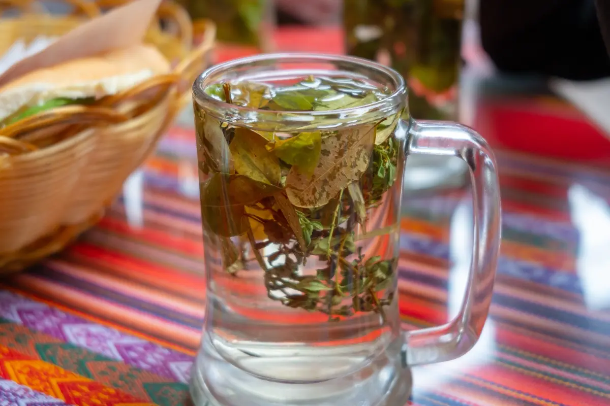 Coca tea on table Peru with Exploor Peru