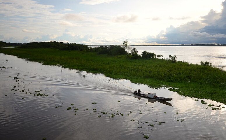 Clima En Iquitos - El Mejor Momento Para Visitar