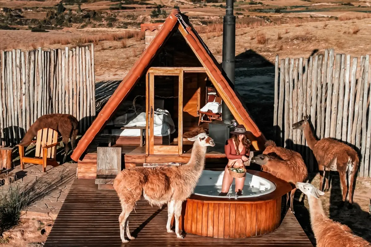 Traveler is standing in hot tub and feeding alpacas Peru with Exploor Peru