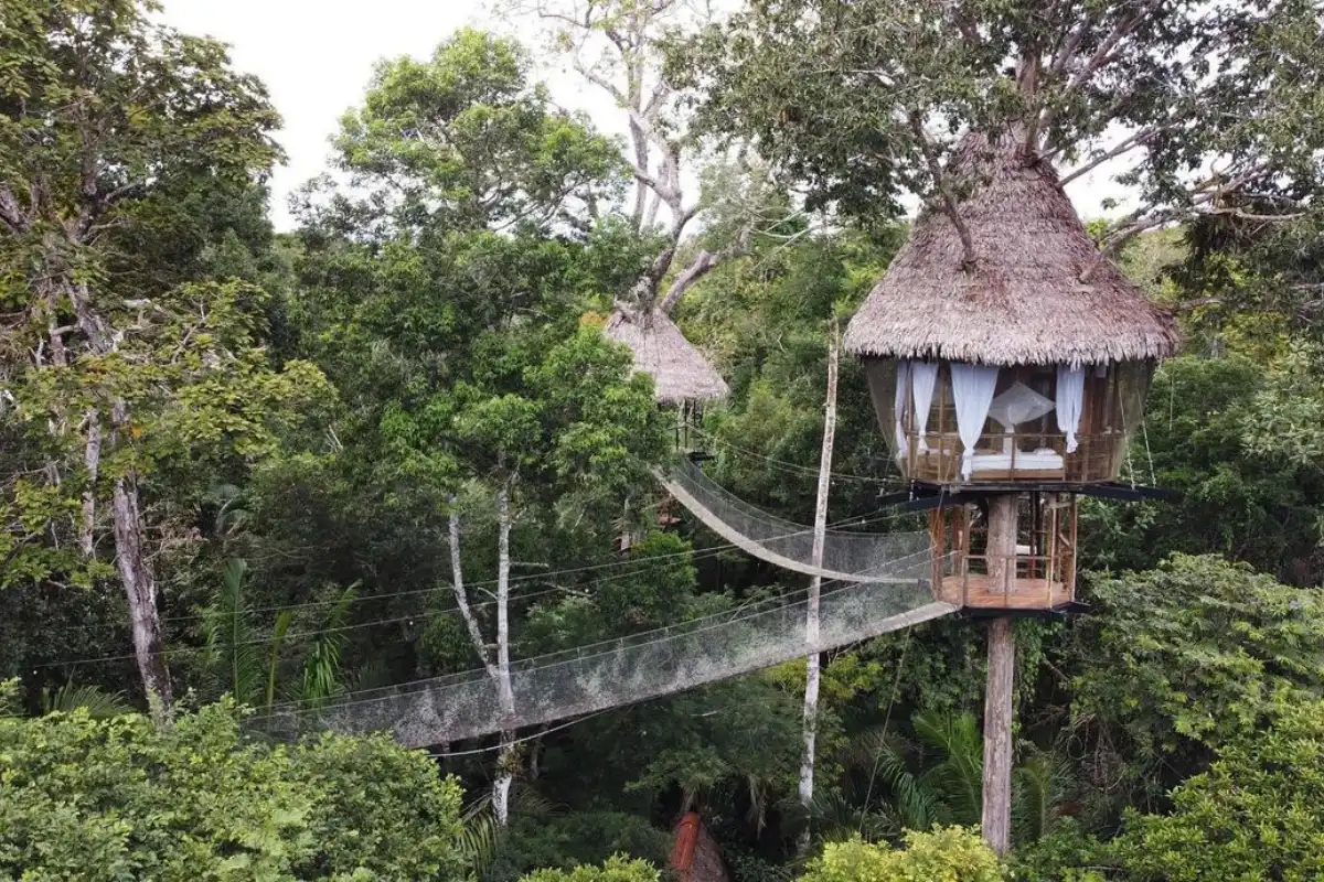 Treehouse lodge with suspension bridges connected Peru with Exploor Peru