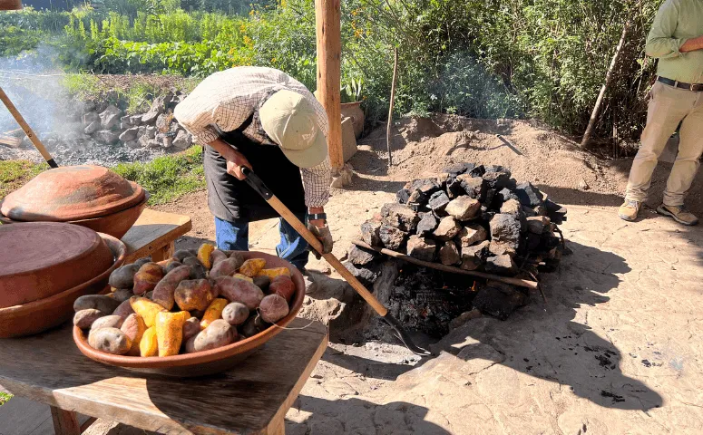 Un local pone comida bajo un horno de piedra. 